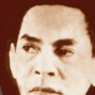 Chân dung Tế Hanh