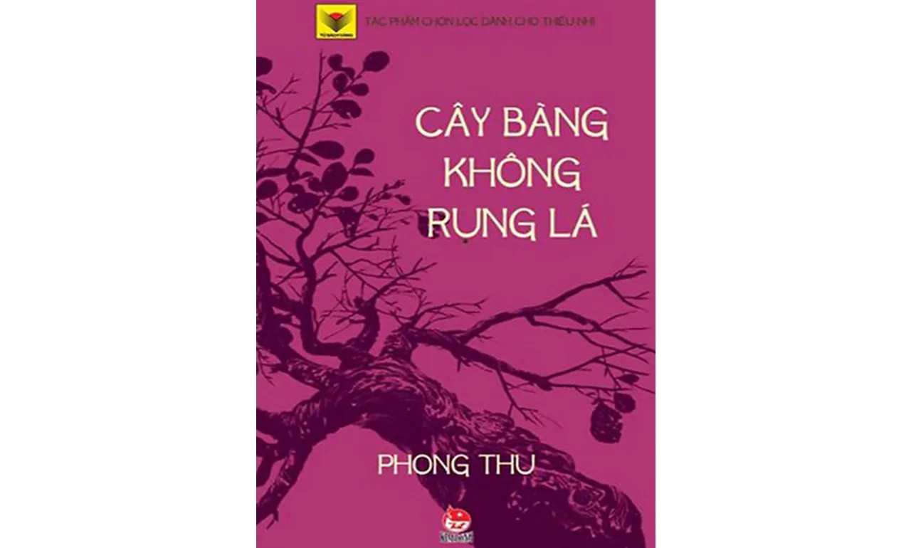 Cây Bàng Không Rụng Lá – Phong Thu