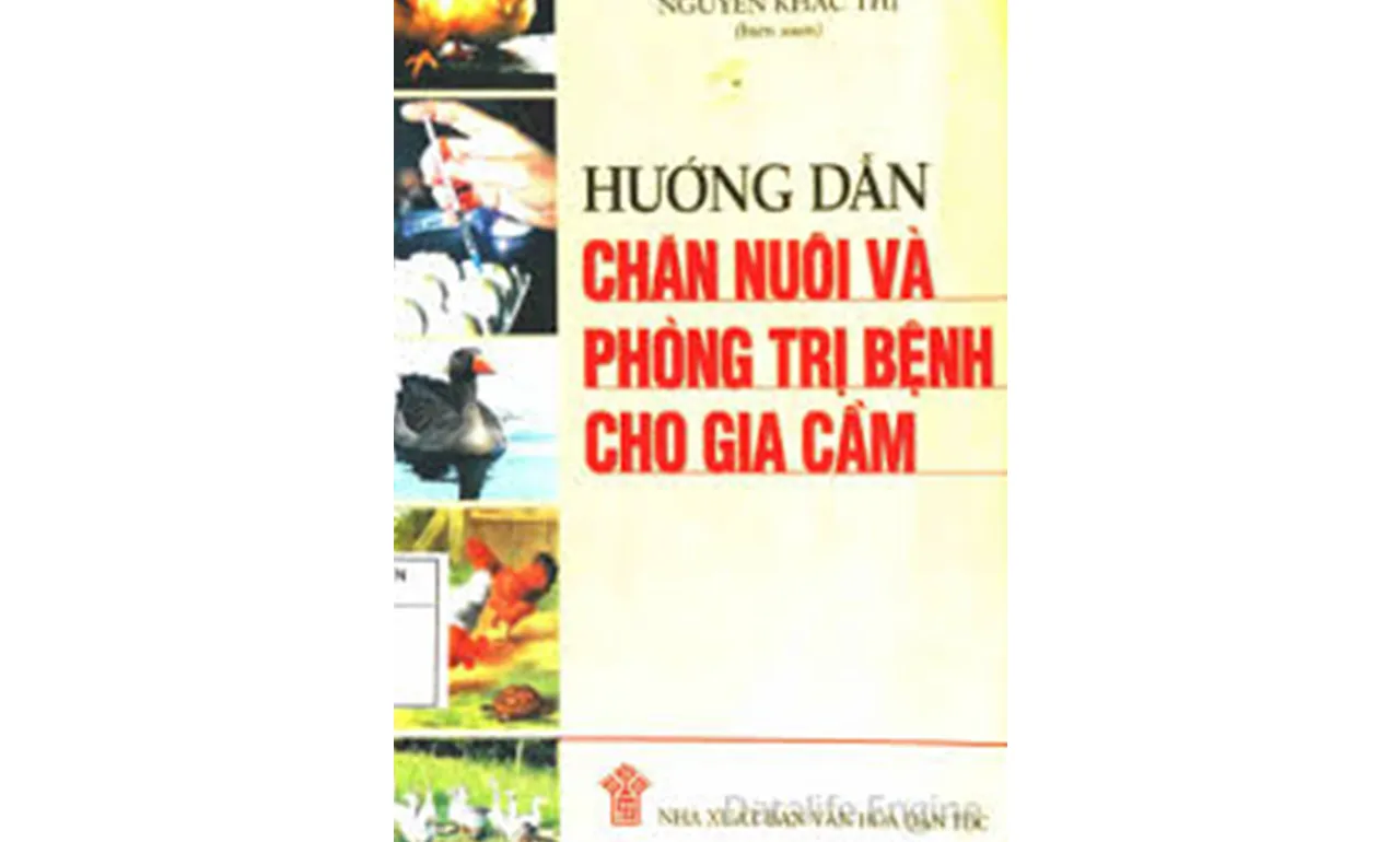 Kỹ thuật chăn nuôi và phòng bệnh cho gia cầm