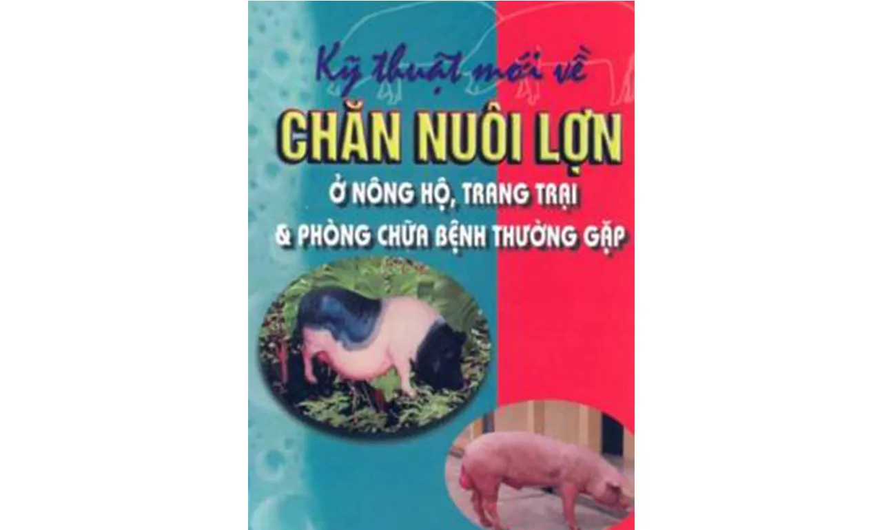Kỹ thuật chăn nuôi và phòng bệnh cho lợn