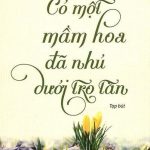 Có Một Mầm Hoa Đã Nhú Dưới Tro Tàn – Lê Minh Quốc